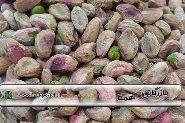 فروش عمده مغز پسته خام