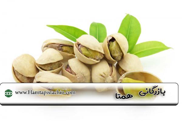 مرکز خرید عمده پسته خام صادراتی